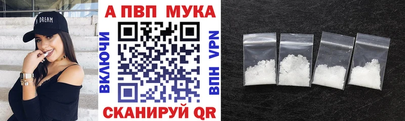 Альфа ПВП СК КРИС  Пошехонье 