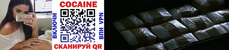 купить закладку  Пошехонье  COCAIN Эквадор 