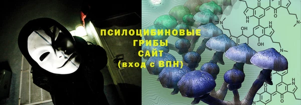 сатива Армянск