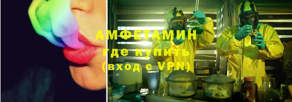 сатива Армянск