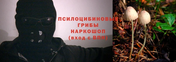 сатива Армянск