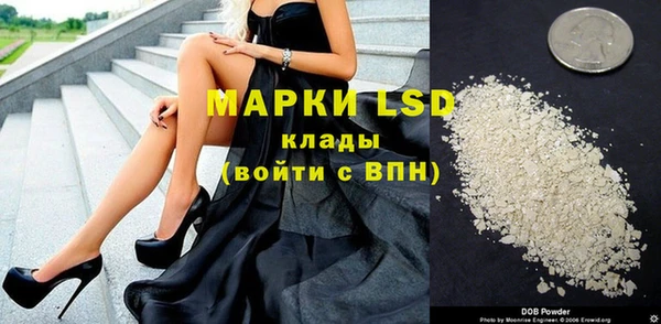 гидра Арсеньев