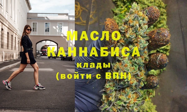 гидра Арсеньев