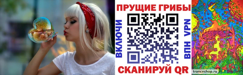 Псилоцибиновые грибы ЛСД  hydra сайт  Пошехонье 