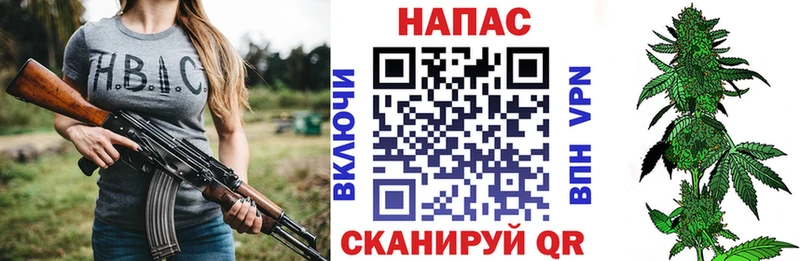 Шишки марихуана семена  Пошехонье 